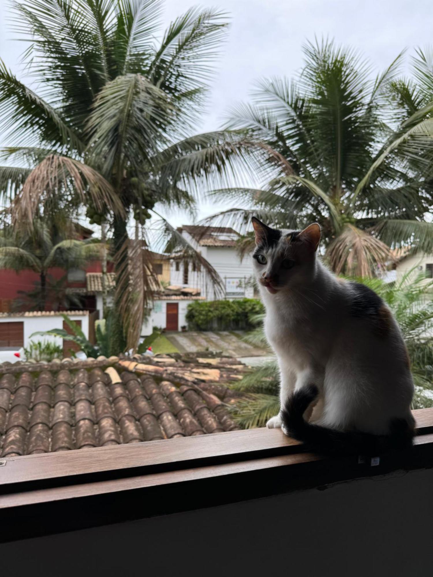 Pouso Sabia Paraty